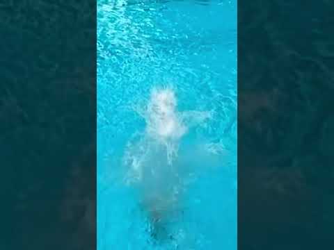 Diving thumbnail