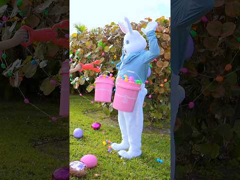 Easter Bunny Egg Hunt 🐰 thumbnail