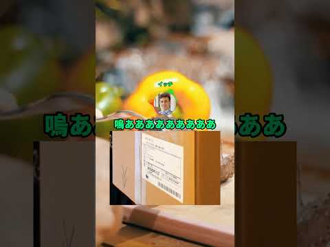 アマゾンからついに届いたぞｗｗｗｗｗ#shorts  #おもしろ thumbnail