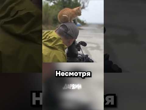 Грустная концовка thumbnail