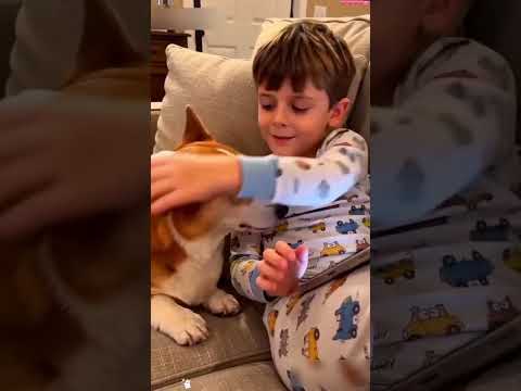 #love #baby thumbnail
