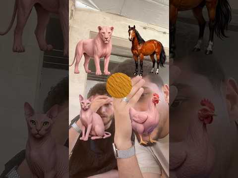فلتر تلبيس الحيوانات !! thumbnail