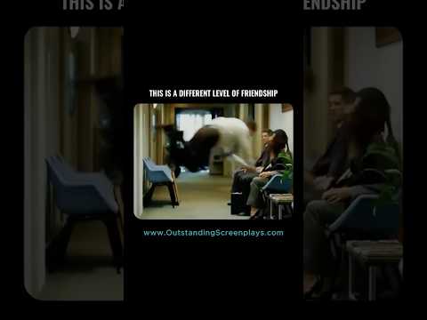This Job Interview Strategy Is Insane ? thumbnail