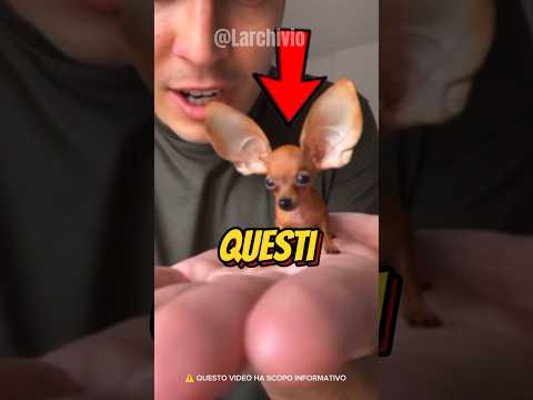 ANIMALI CON RECORD ASSURDI 😱 #curiosità #informative thumbnail