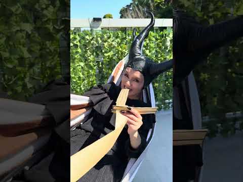 Sion princess Cardboard noodles ?? thumbnail