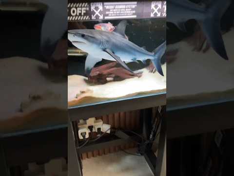 Cuộc sống của cô gái sang chảnh bất ổn thumbnail