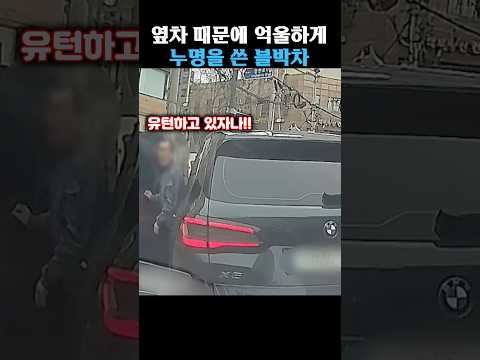 억울하게 누명을 쓴 블박차 thumbnail