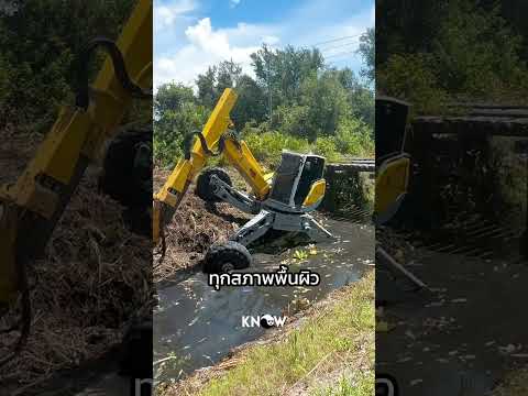 Transformers ในชีวิตจริง thumbnail