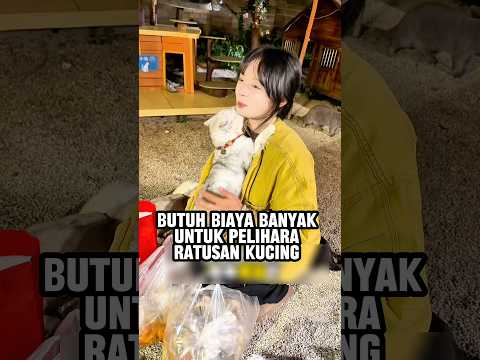 Dicap “pemulung” demi kasih makan kucing thumbnail
