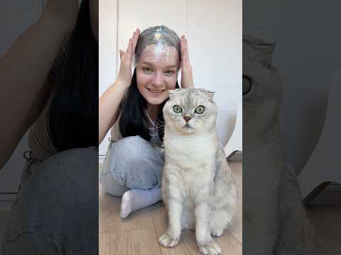 My cat and I are testing the weirdest life hack ever ? #cats #lifehacks #viralhacks #funnycat thumbnail