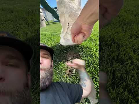 How to fix lawn spots #jeeplife #offroad #jeepwrangler #4x4 #cars #car #ford #offroading #shorts thumbnail