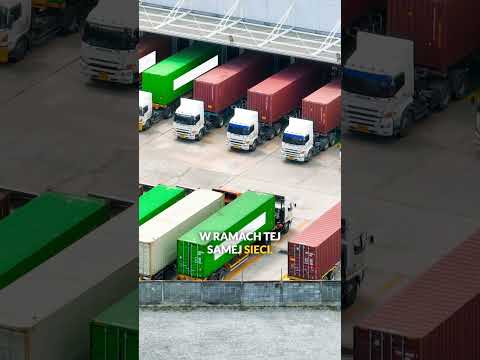POWAŻNE ZARZUTY DLA DINO POLSKA I FIRM TRANSPORTOWYCH thumbnail