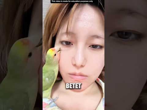 BURUNGNYA SUKA TAHI LALAT😱 thumbnail
