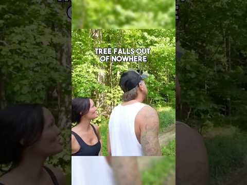 Tree falls out of nowhere thumbnail