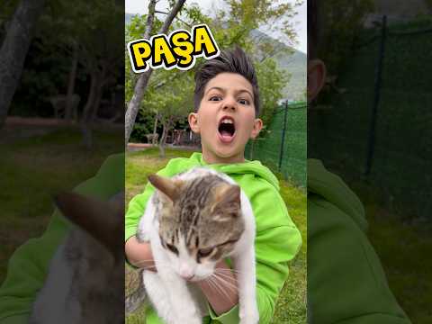 Kızların vs erkeklerin kedilerine koyduğu isimler thumbnail