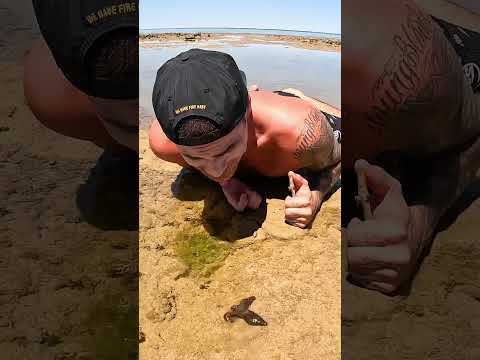 Beautiful But Deadly.. thumbnail