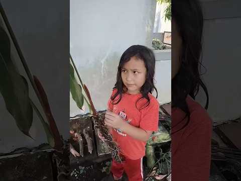 Mama Kaget Dedek Sm Teman Ara Ksih Daun & Bunga D Kburan Ular Mati. Semoga Ularnya Msuk Surga 🐍🪦🤷‍♀️ thumbnail