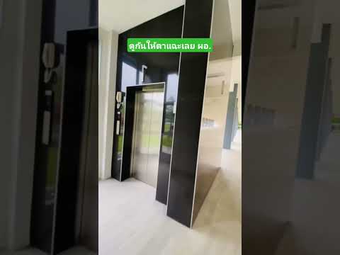 ดูกันให้ตาแฉะเลย ผอ. #funny #comedy #reels #เล่าเรื่องตลก #คลิปตลก thumbnail