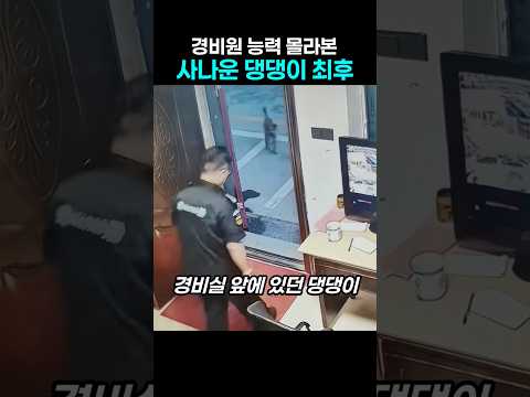 "감히 깨물어?.." 경비원 능력 몰라본 사나운 댕댕이의 최후 thumbnail