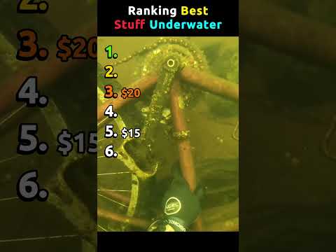 Ranking Best Stuff Underwater #diving #best thumbnail