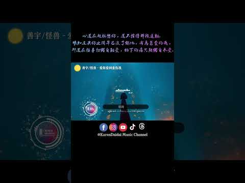 爱你爱到重伤我，哪怕爱你没希望，念念想想心里荡。#善宇 #怪兽 #爱你爱到重伤我 #AiNiAiDaoZhongShangWo #KarenDaidaiMusicChannel thumbnail