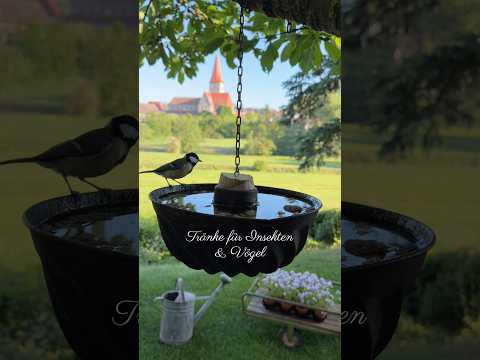 DIY Vogeltränke & Insektentränke aus Gugelhupf Form, schnell zu reinigen thumbnail
