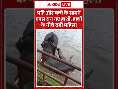 Elephant Attack : पति और बच्चे के सामने काल बन गए हाथी, हाथी के नीचे दबी महिला |#WildlifeConflict thumbnail
