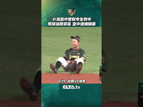 小湯空中管制令生效中 飛球誤闖遭逮捕歸案！ | 中華職棒37年 thumbnail