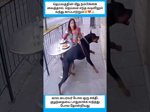 தெய்வம் எந்த வடிவிலும் வந்து காப்பாற்றும் #shorts thumbnail