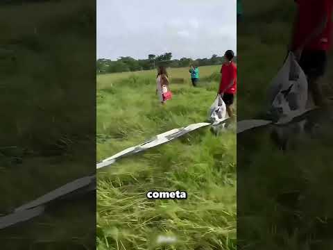 Esta Cometa Tiene La Cola Más Larga Del Mundo 😱 thumbnail