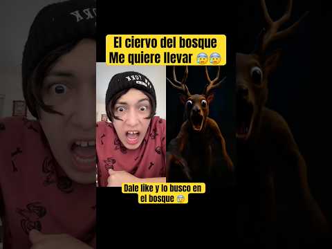 El ciervo del bosque me quiere llevar ?? - Hey Crispin #humor thumbnail