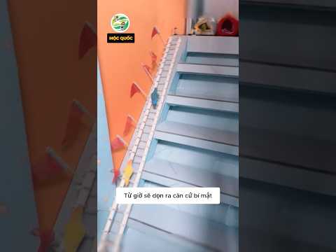 Kiếp nạn anh chàng phát hiện đàn vẹt dọn ra căn cứ bí mật ở riêng #shorts thumbnail