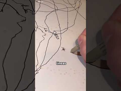 La Araña Creó Una Obra De Arte Increíble 😱 thumbnail