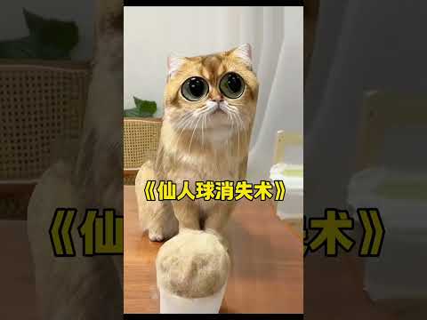 【牛奶是只猫】没想到榴莲还可以这么用 thumbnail