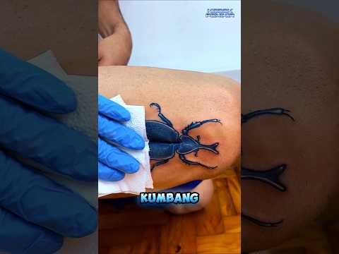 Tato Kumbang Ini Berubah Saat Kakinya Diluruskan‼️ thumbnail