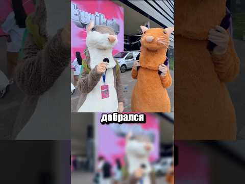 Твич пробивает новое дно thumbnail
