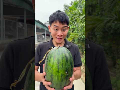 Một món quà bất ngờ dành cho hai Ông cháu🎁 #shorts thumbnail