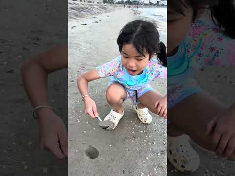 SH - Bé Cún muốn ăn thử 1 thìa cát || Challenge eat a poonful 🥄 of sand for 1M like ❤️ #shorts thumbnail