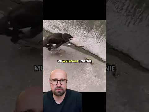 Nie wyręczajmy dzieci we wszystkim thumbnail
