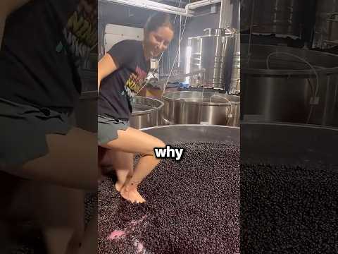 Why Do Winemakers Do This?! ?? thumbnail