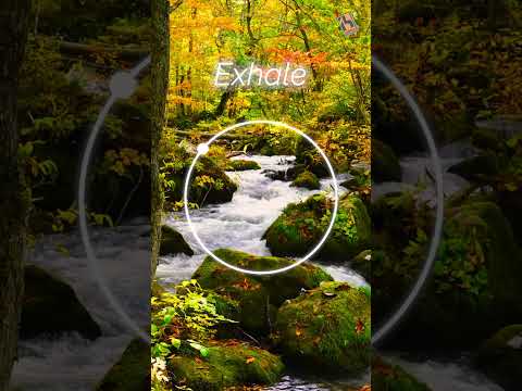 1 Minute Breathing Bubble | Classical Music thumbnail