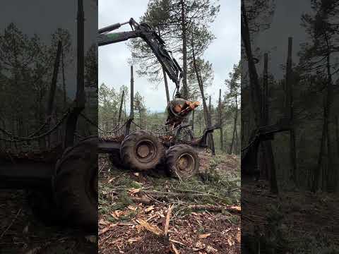 John Deere 1510G: The Forest Beast at Work #forest #johndeere #forestry #farming #harvester #tree thumbnail