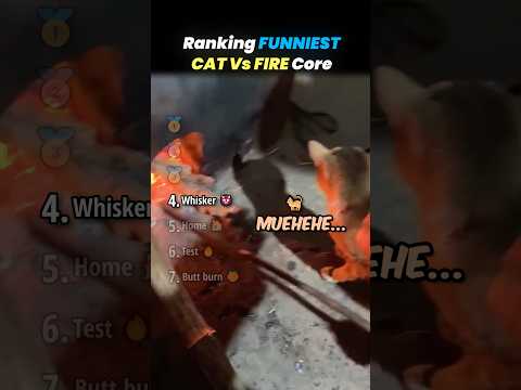 Ranking CATS DISCOVER FIRE Core Moments!! 🐱🔥 thumbnail