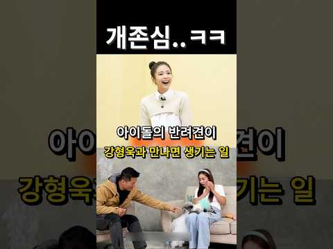 아이돌의 반려견이 강형욱과 만나면 생기는 일 / #태연 #제니 #유리 thumbnail