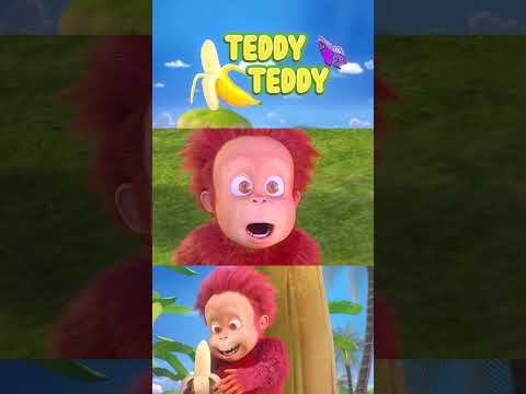 Orangutan Babies | Teddy Teddy | Sing Along thumbnail
