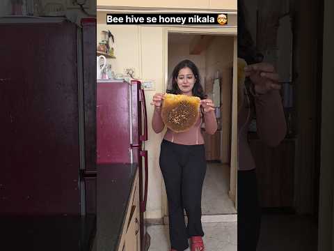 "Honey nikal diya woh bhi bee hive ke aandar se." ??? #relatable #trending #shorts thumbnail