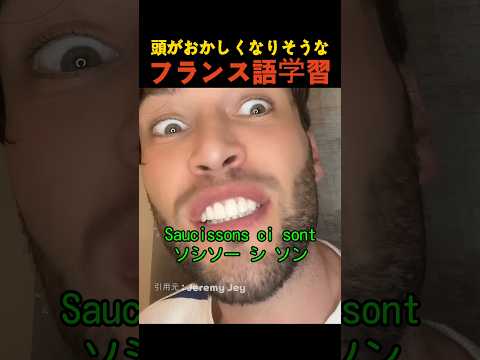 頭がおかしくなりそうなフランス語学習 thumbnail