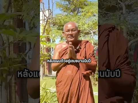 อดีตหลวงตาอ้อนไทย! หลังย้ายฝั่งไปเขมรนานเป็นปี #shorts #youtubeshorts #เล่าเรื่อง #เขมร thumbnail