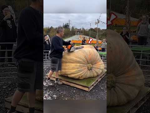 Huge Pumpkin 🎃😱 thumbnail