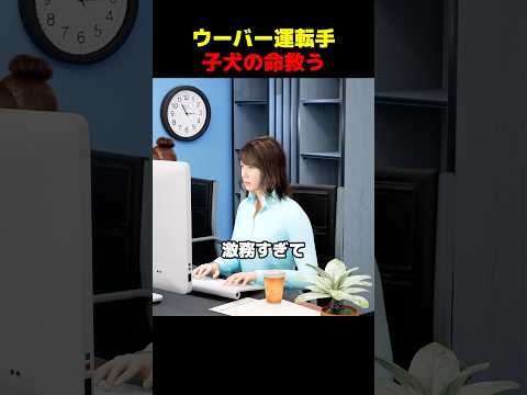 ウーバー運転手子犬の命救う thumbnail